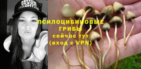 гашиш Аркадак