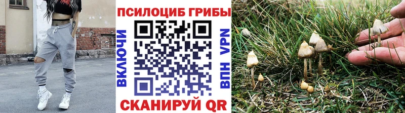 хочу наркоту Адыгейск Галлюциногенные грибы мухоморы